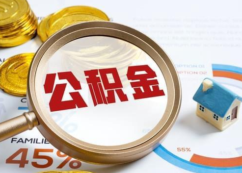 临高2025年政策调整对个人影响综合解析‌